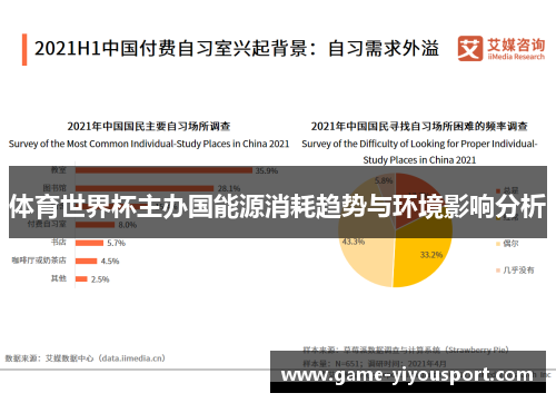 体育世界杯主办国能源消耗趋势与环境影响分析