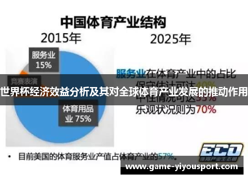 世界杯经济效益分析及其对全球体育产业发展的推动作用