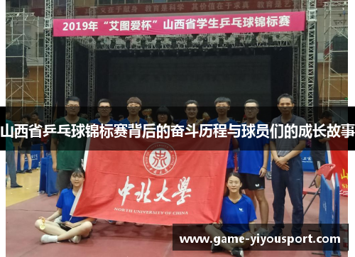 山西省乒乓球锦标赛背后的奋斗历程与球员们的成长故事