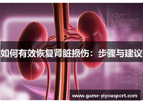如何有效恢复肾脏损伤：步骤与建议