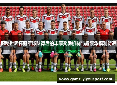 揭秘世界杯冠军球队背后的丰厚奖励机制与超豪华福利待遇